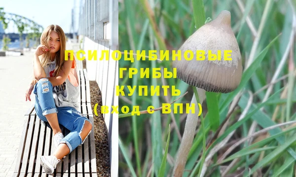 мяу мяу кристалл Кодинск