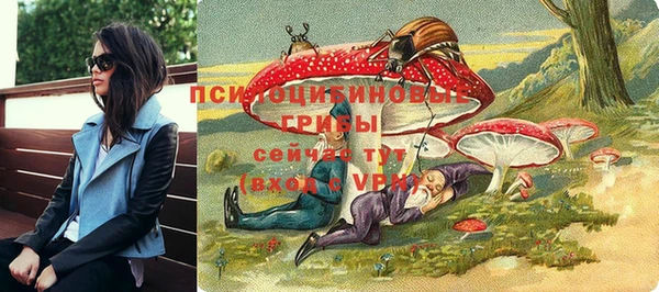 кокс Козловка
