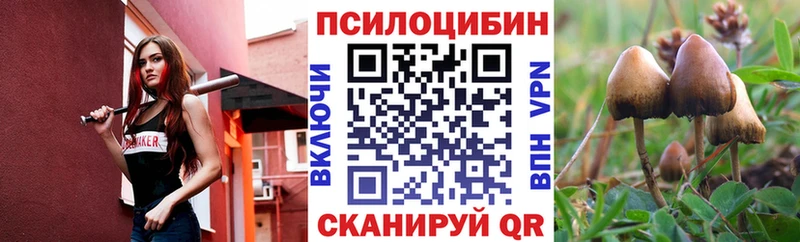 Купить где  Кремёнки  Галлюциногенные грибы мицелий 